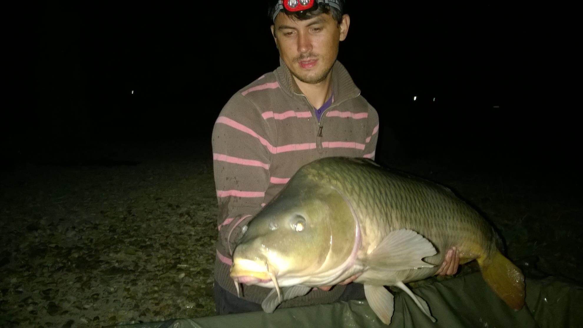 Hermes Peris 12 - 14 septembrie 2014 - wp20140914009.jpg